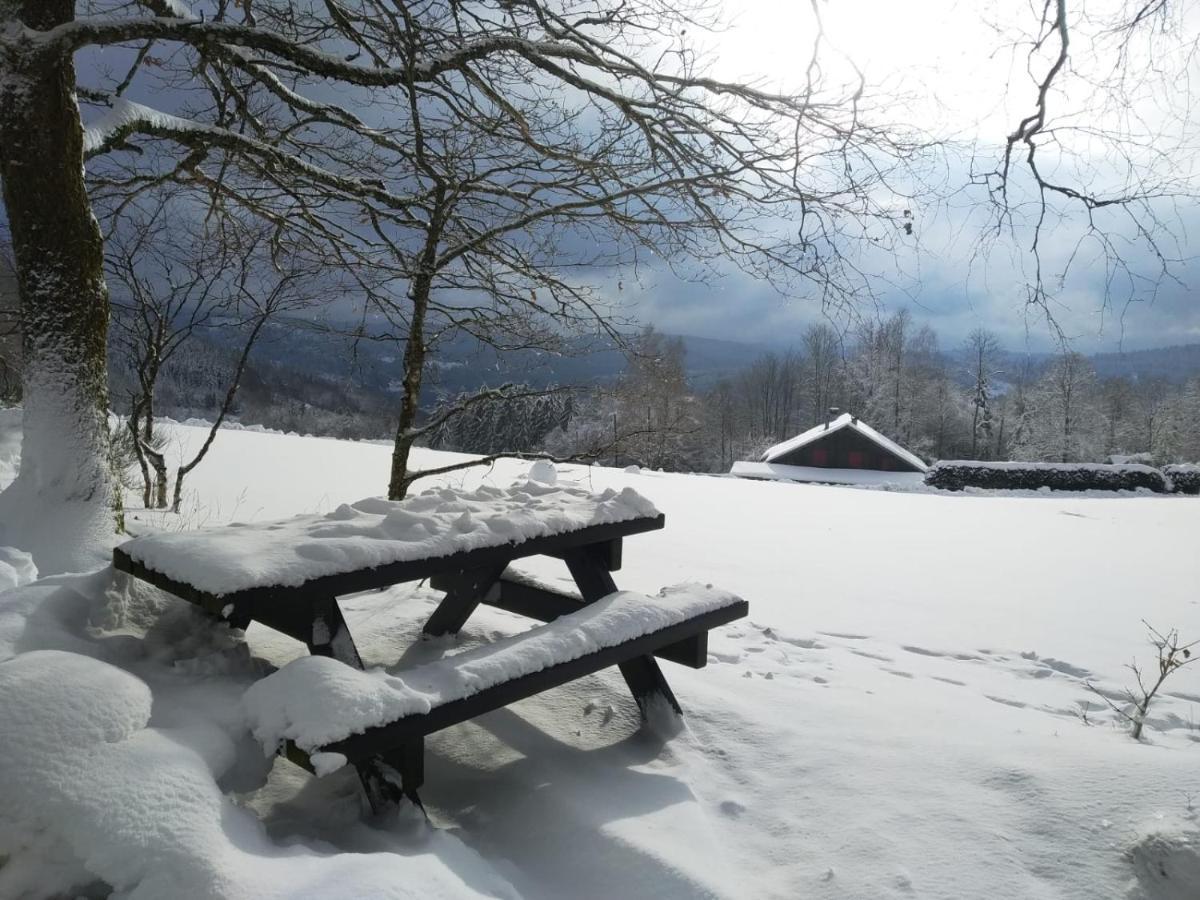 Chalet individuel - Proche stations de Ski&vue sur les montagnes La Bresse Extérieur photo