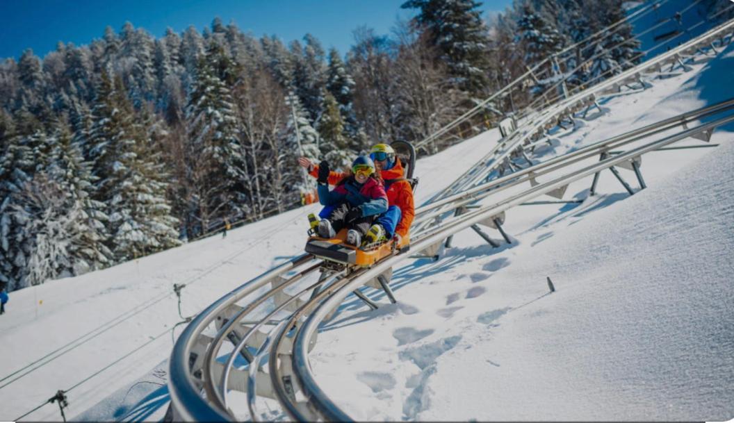 Chalet individuel - Proche stations de Ski&vue sur les montagnes La Bresse Extérieur photo